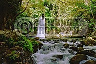 banias waterfall 0005