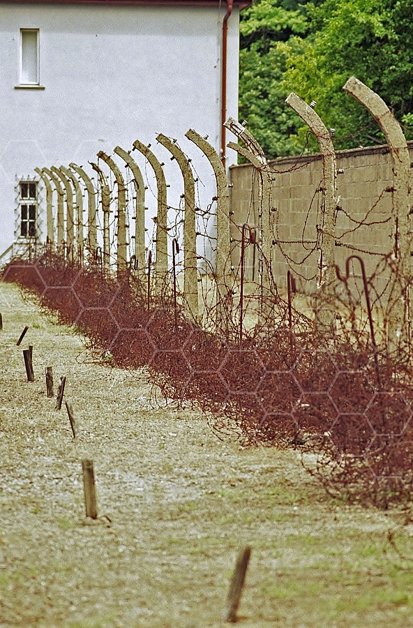 Sachsenhausen Barbed Wired Fence 0002
