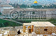 Jerusalem Old City View From Mt Of Olives 021