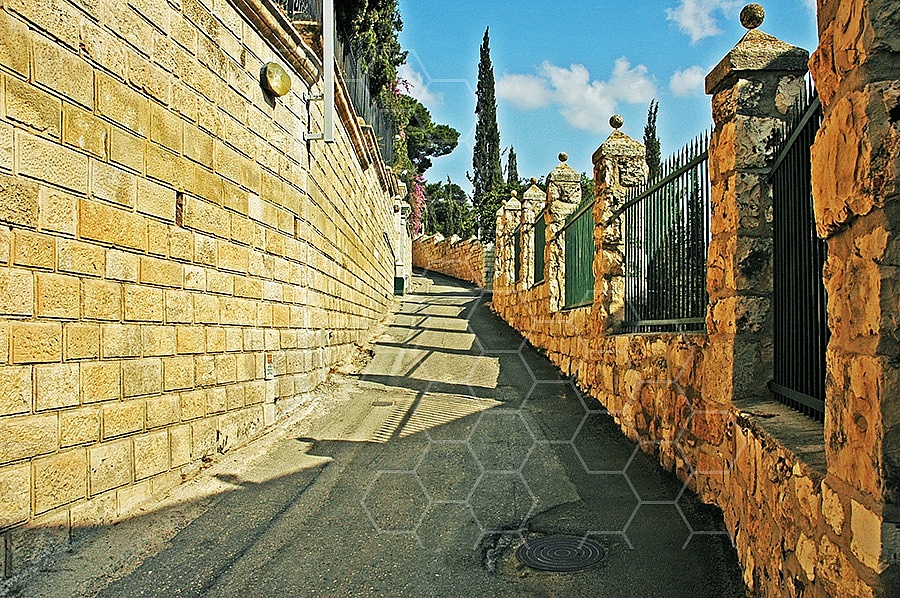 Jerusalem Mount Of Olives 004