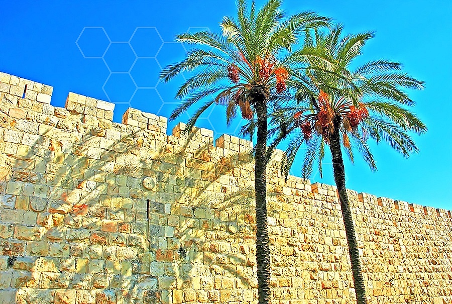 Jerusalem Old City  Walls 009