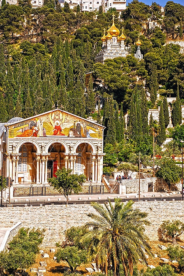 Jerusalem Mount Of Olives 023
