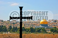 Jerusalem From Mount Of Olives 004