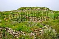 Tel Lachish 003