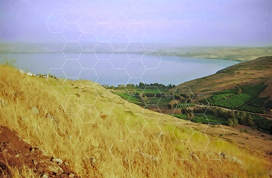 Kinneret Sea of Galilee 0024