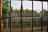Auschwitz Camp Wall 0001