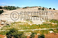 Jerusalem Mount Of Olives 010