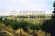Jerusalem Old City View From Mt Of Olives 030
