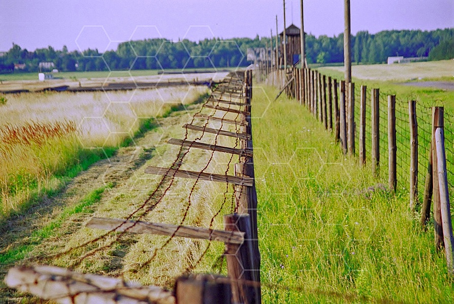 Majdanek Barbed Wire Fence 0001