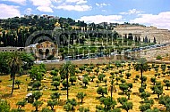 Jerusalem Mount Of Olives 016