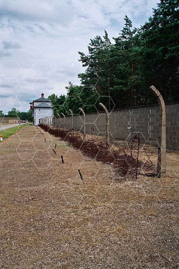 Sachsenhausen Barbed Wired Fence 0005