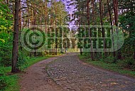 Treblinka Entrance To The Camp 0004