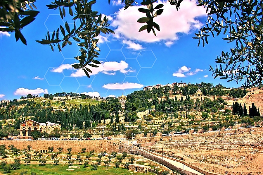 Jerusalem Mount Of Olives 009