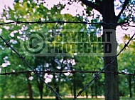 Westerbork Barbed Wire Fence 0002