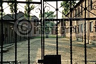 Auschwitz Barracks 0013