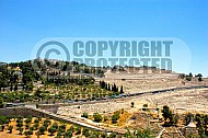 Jerusalem Mount Of Olives 018