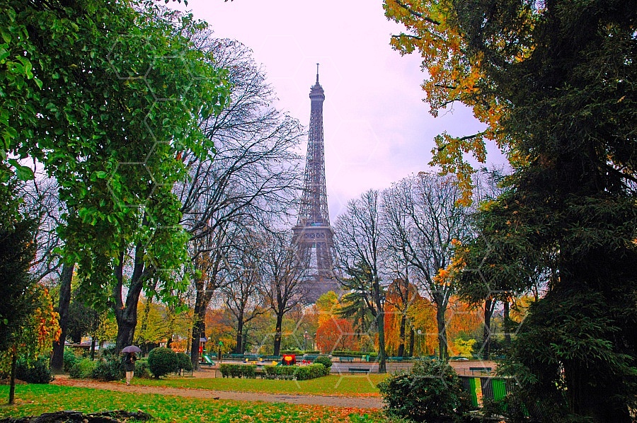 Paris - Eiffel Tower 0015