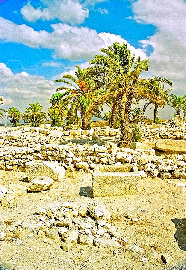 Tel Megiddo Stables 002