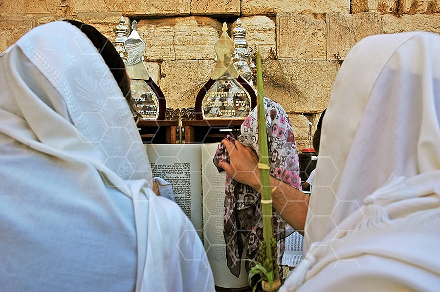Kotel Torah Praying 023