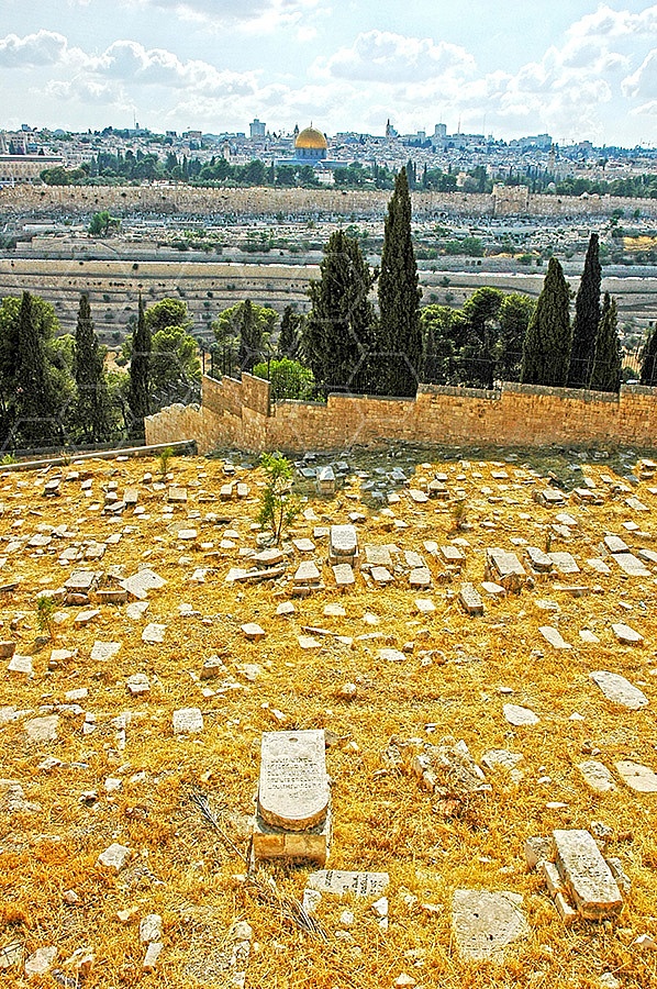 Jerusalem Mount Of Olives 021