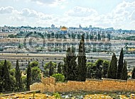 Jerusalem Mount Of Olives 021