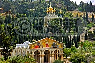 Jerusalem Mount Of Olives 006
