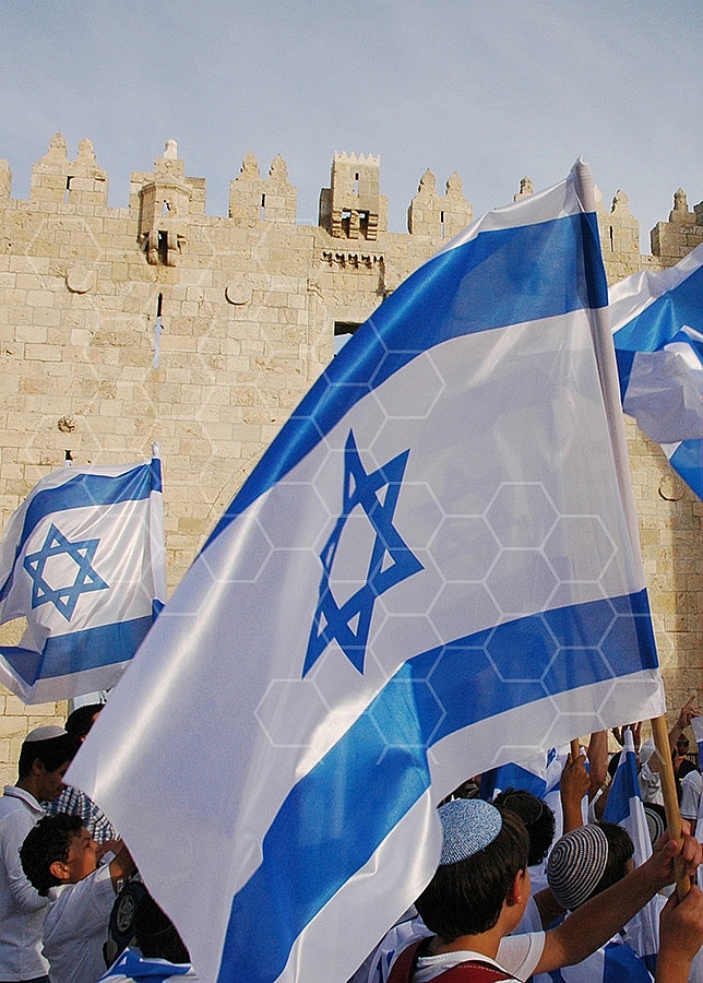 Israel Flag 065
