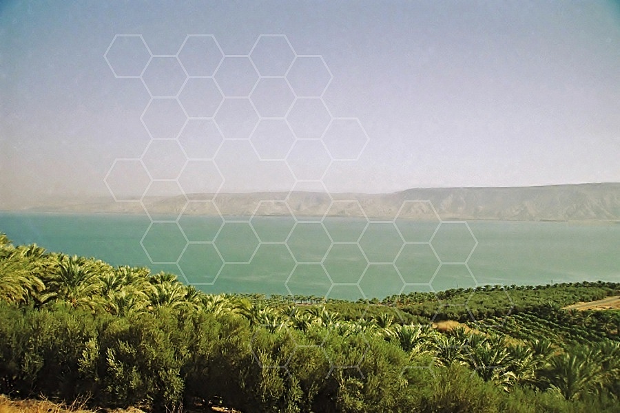 Sea of Galilee Kinneret 0024