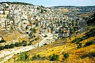 Jerusalem Kedron Valley 009