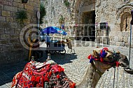 Jerusalem Old City Zion Gate 008