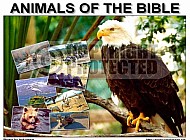 The Animals Of The Bible 004
