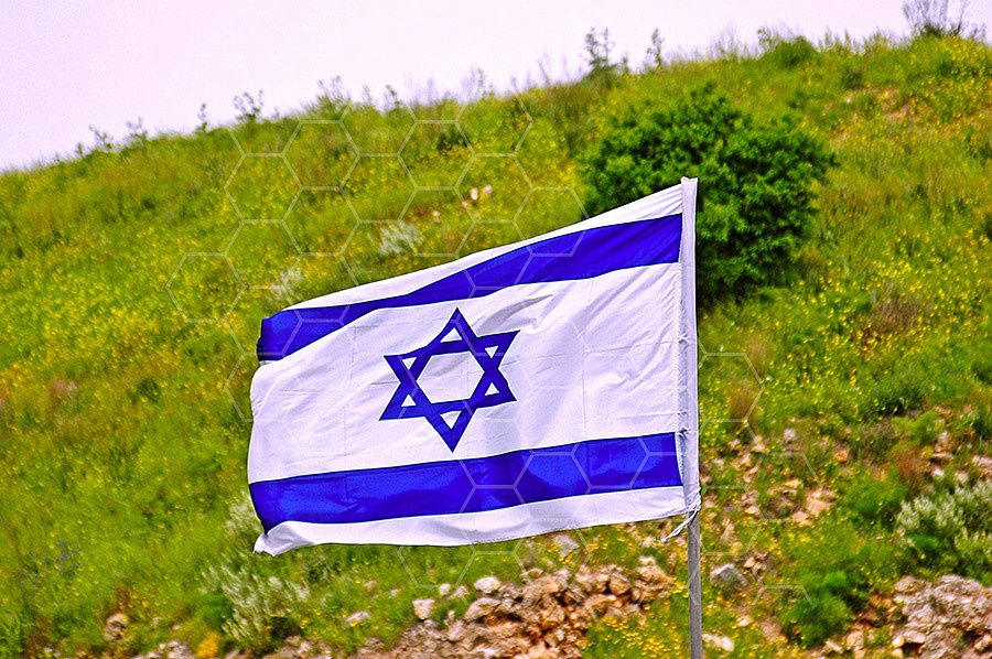Israel Flag 004