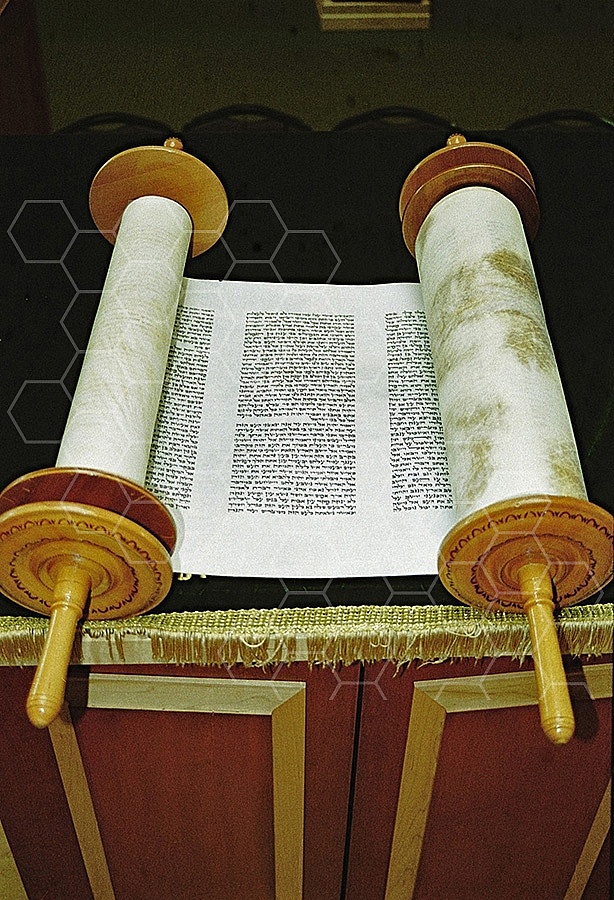 Torah 008
