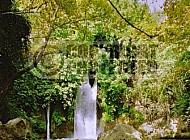 banias waterfall 0017