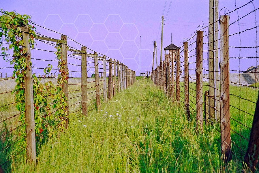 Majdanek Barbed Wire Fence 0009