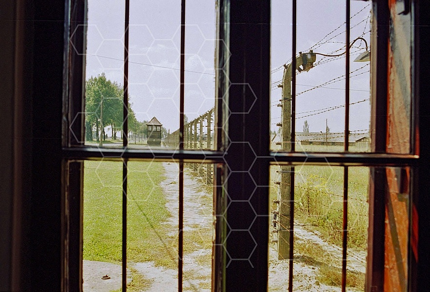 Birkenau Electrified Barbed Wire Fence 0024