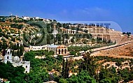 Jerusalem Mount Of Olives 011