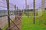 Natzweiler-Struthof Barbed Wire Fences 0003