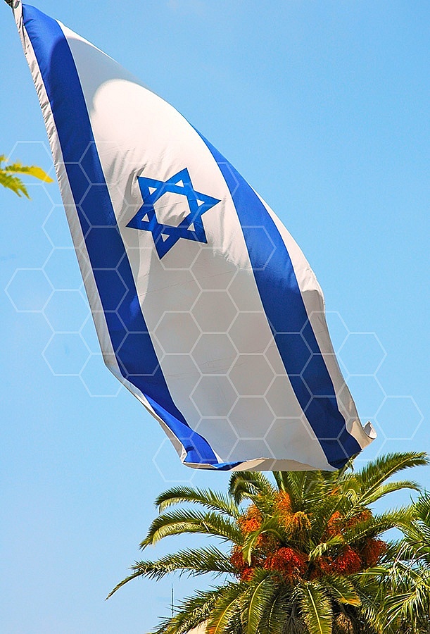 Israel Flag 076