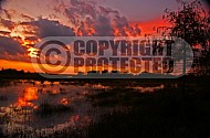 Florida Sunset 007