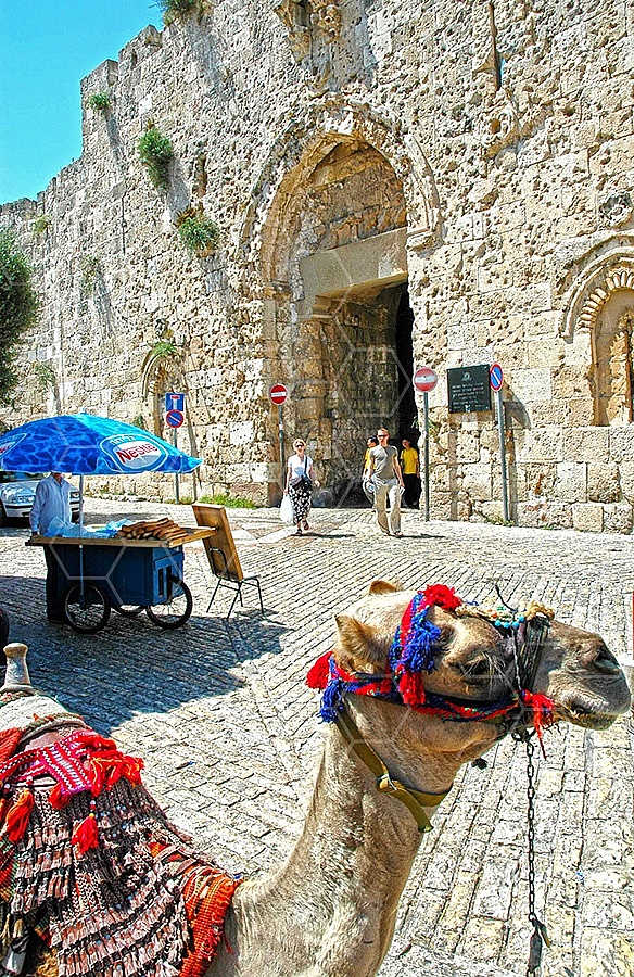 Jerusalem Old City Zion Gate 011
