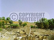 Beit She'an Roman Column 002