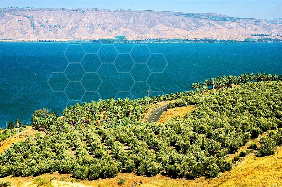 Kinneret Sea of Galilee 013