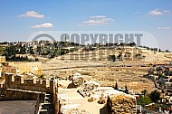Jerusalem Mount Of Olives 013