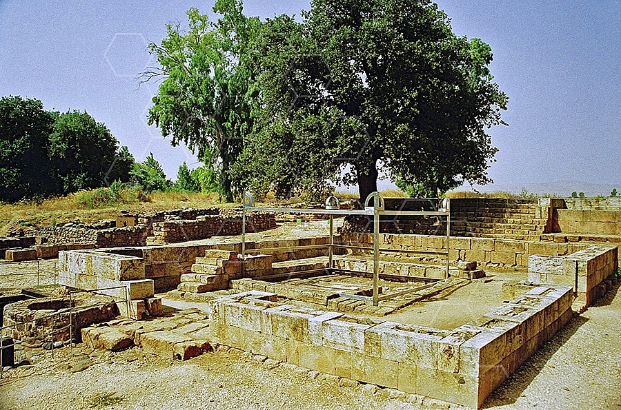 Tel Dan Altar 003