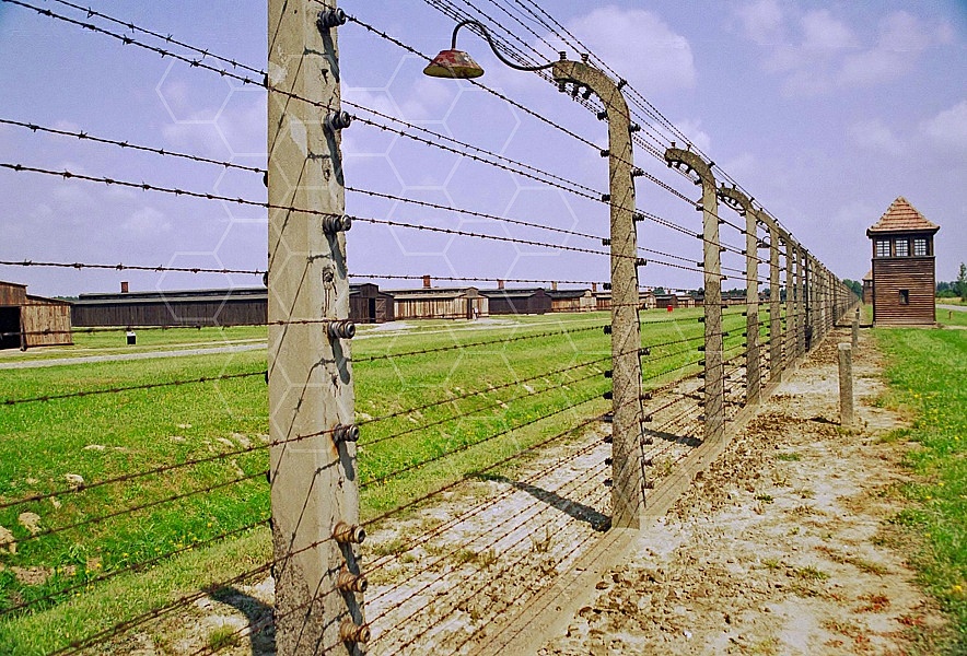 Birkenau Electrified Barbed Wire Fence 0011