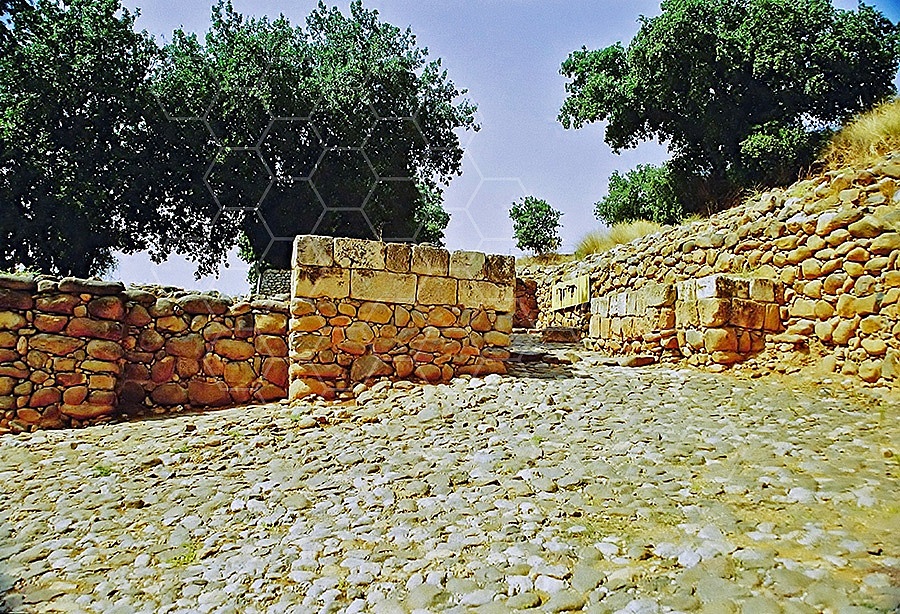 Tel Dan Entrance Gate 002