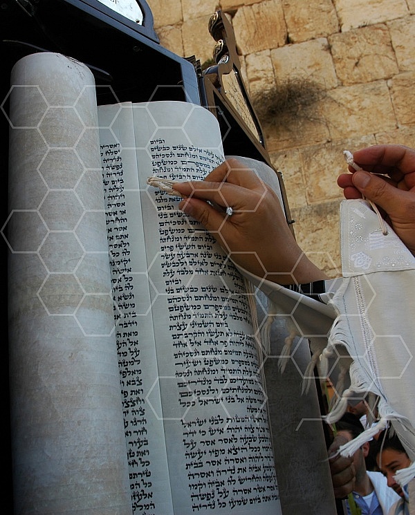 Torah Reading and Praying 0015a