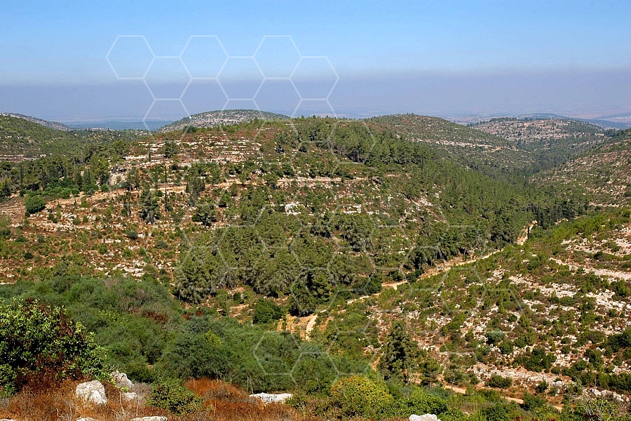 Judaean Hills 0002