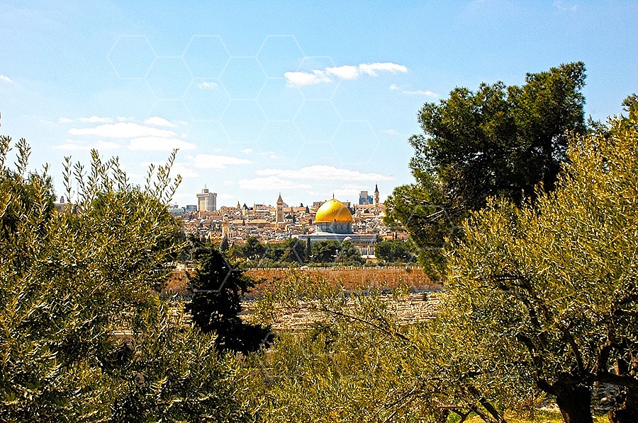 Jerusalem Old City View From Mt Of Olives 003